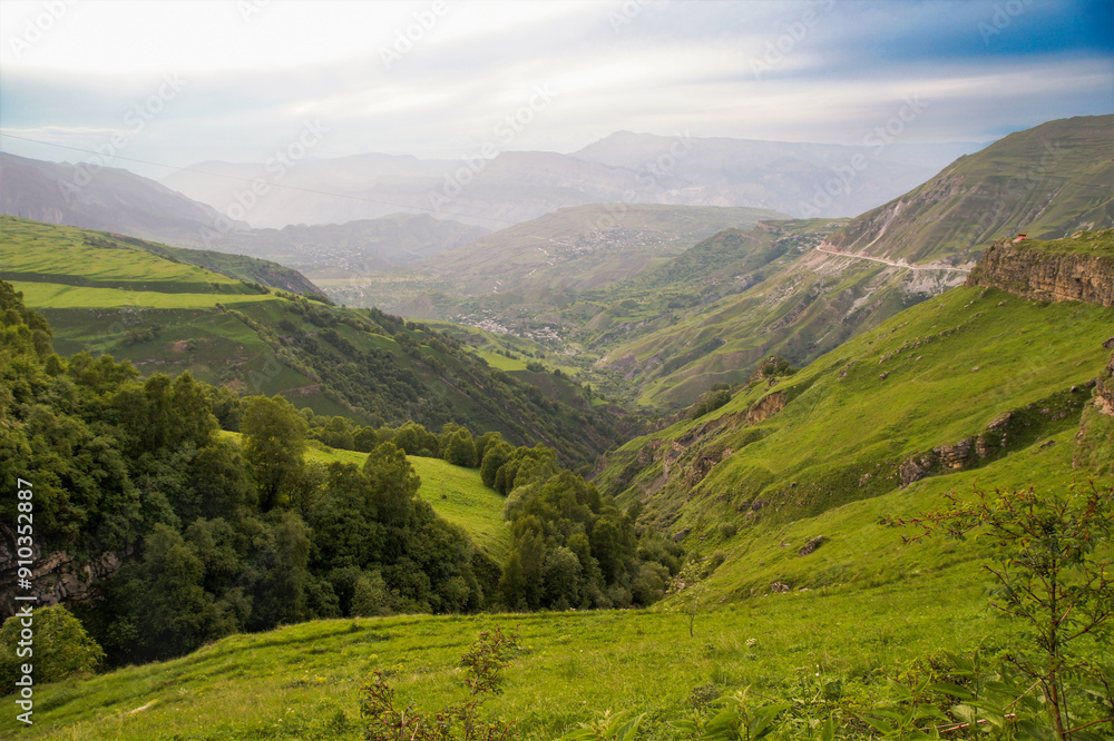 Green trees along the edge of a mountain hollow. Green trees along the edge of a mountain hollow.