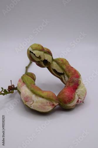 Vainas comestibles de guamúchil Pithecellobium dulce