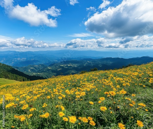 endless yellow wildflowers cover the green grass on Mount Lushan, with a blue sky and white clouds in the distance