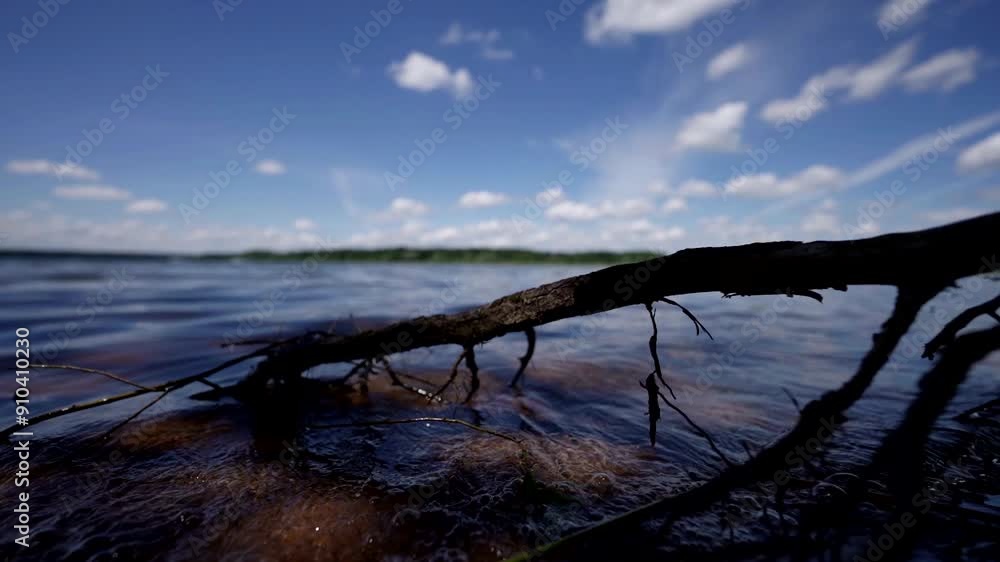 A quiet lake with dense trees along the shore, under a blue sky with clouds. The shadows of the trees and the light ripples on the water create a calm and peaceful atmosphere. A quiet lake with dense trees along the shore, under a blue sky with clouds. The shadows of the trees and the light ripples on the water create a calm and peaceful atmosphere.