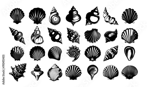 Sea shell black ink vector set. Conch scallop spiral ocean underwater marine beach nature coastal decorative icons isolated on white background