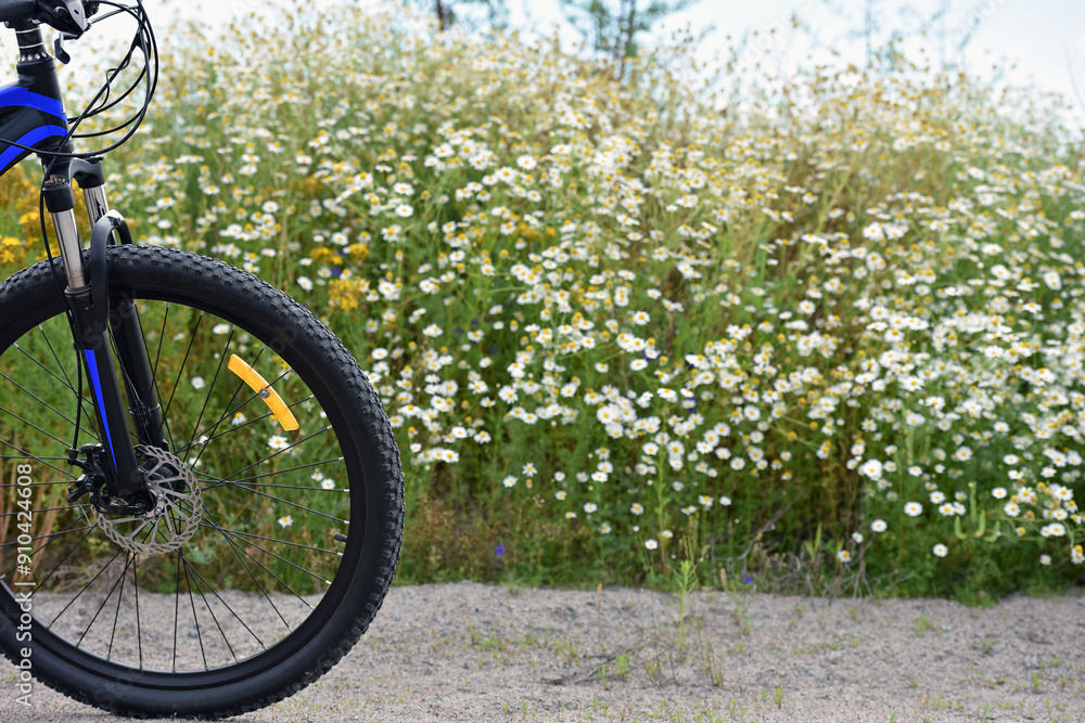 front wheel of a mountain bike. camomile field. bike stands on the road in the field. bike on a field path. blooming summer field, meadow flowers, sunny day. ride a bike. outdoor activities front wheel of a mountain bike. camomile field. bike stands on the road in the field. bike on a field path. blooming summer field, meadow flowers, sunny day. ride a bike. outdoor activities