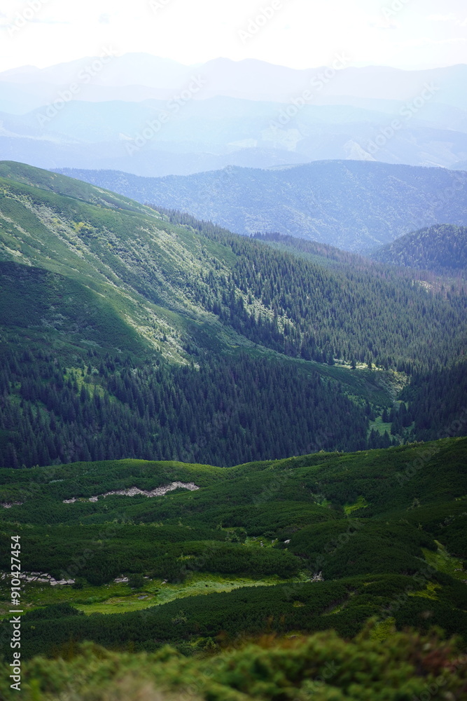 view from the mountain view from the mountain