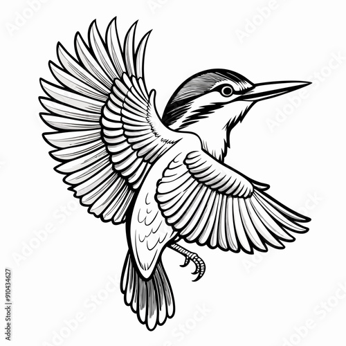 kingfisher bird. Colouring page for kids and adults. Print design, t-shirt design, tattoo design, mural art, line art. 