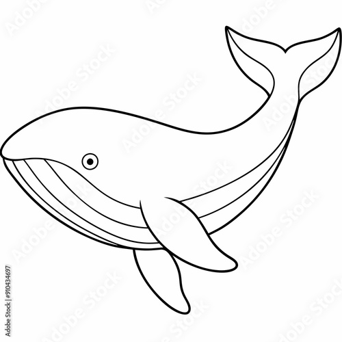 Whale vector illustration. Outline drawing colouring page in underwater book or page for children.