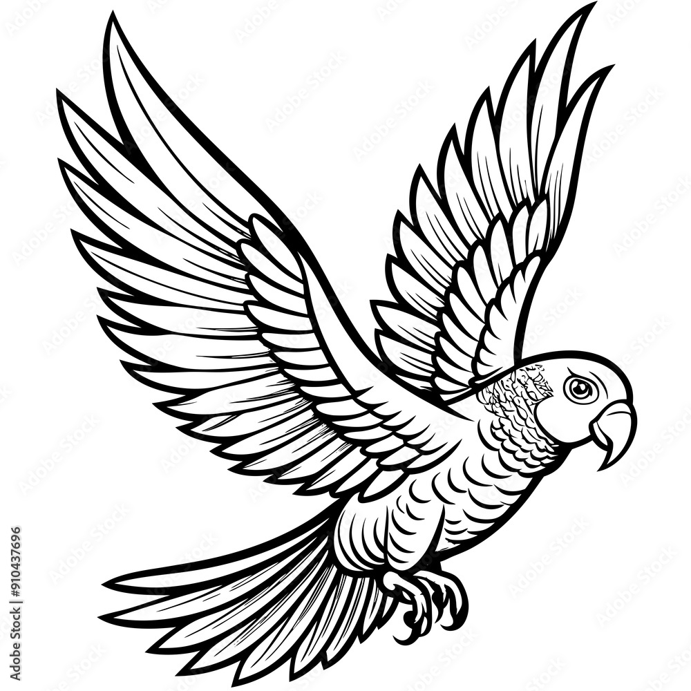 Hand drawn of Cockatoo in zentangle style for Adult coloring book page, shirt design effect, logo, tattoo and decoration.Vector illustration. Hand drawn of Cockatoo in zentangle style for Adult coloring book page, shirt design effect, logo, tattoo and decoration.Vector illustration.