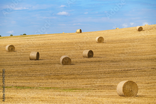 agricultural field with hay bales on a sunny summer day, blue sky with some clouds