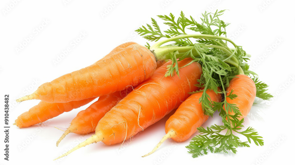 A bright group of carrots with leaves, emphasizing the freshness and naturalness of the product. Concept of organic products and farmers' markets A bright group of carrots with leaves, emphasizing the freshness and naturalness of the product. Concept of organic products and farmers' markets