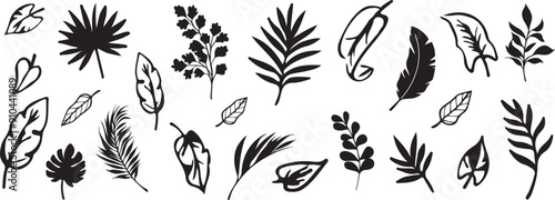 Assorted set of simple leaves in black - Nature - Botanicals