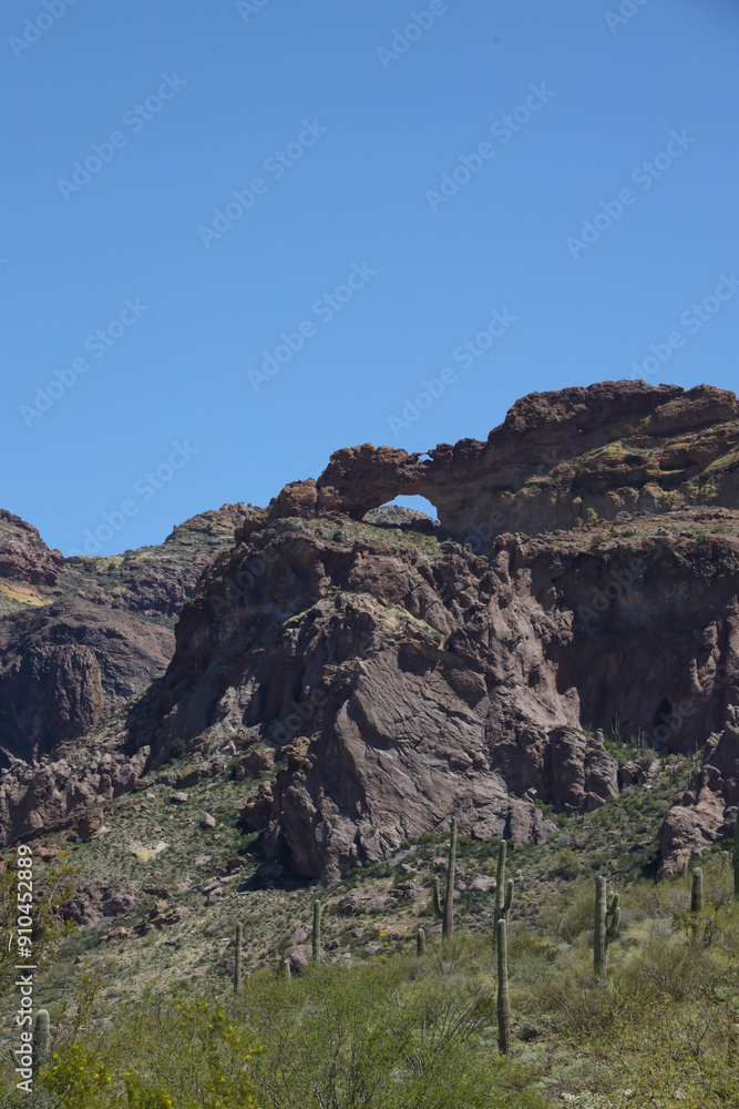 Fototapeta premium Natural arch and desert landscape at Organ Pipe Cactus National Monument, Arizona