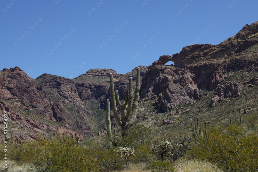 Natural arch and desert landscape at Organ Pipe Cactus National Monument, Arizona Natural arch and desert landscape at Organ Pipe Cactus National Monument, Arizona