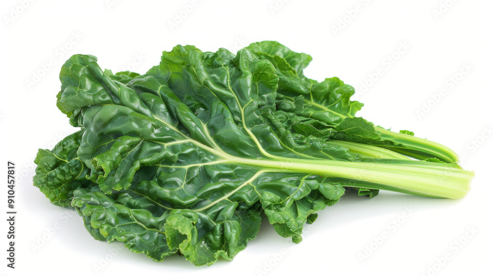 A whole swiss chard isolated on white A whole swiss chard isolated on white