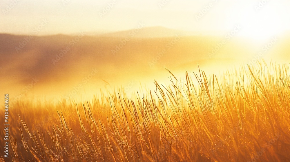A lush field of towering grass bathed in sunlight against a majestic mountain backdrop in the photo A lush field of towering grass bathed in sunlight against a majestic mountain backdrop in the photo