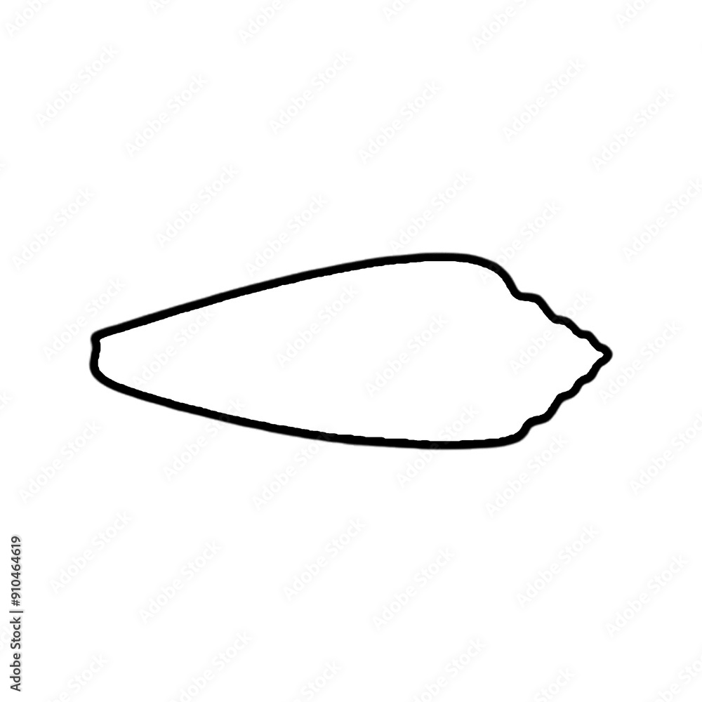 Seashell | Shell Illustration | Shell Outline Seashell | Shell Illustration | Shell Outline