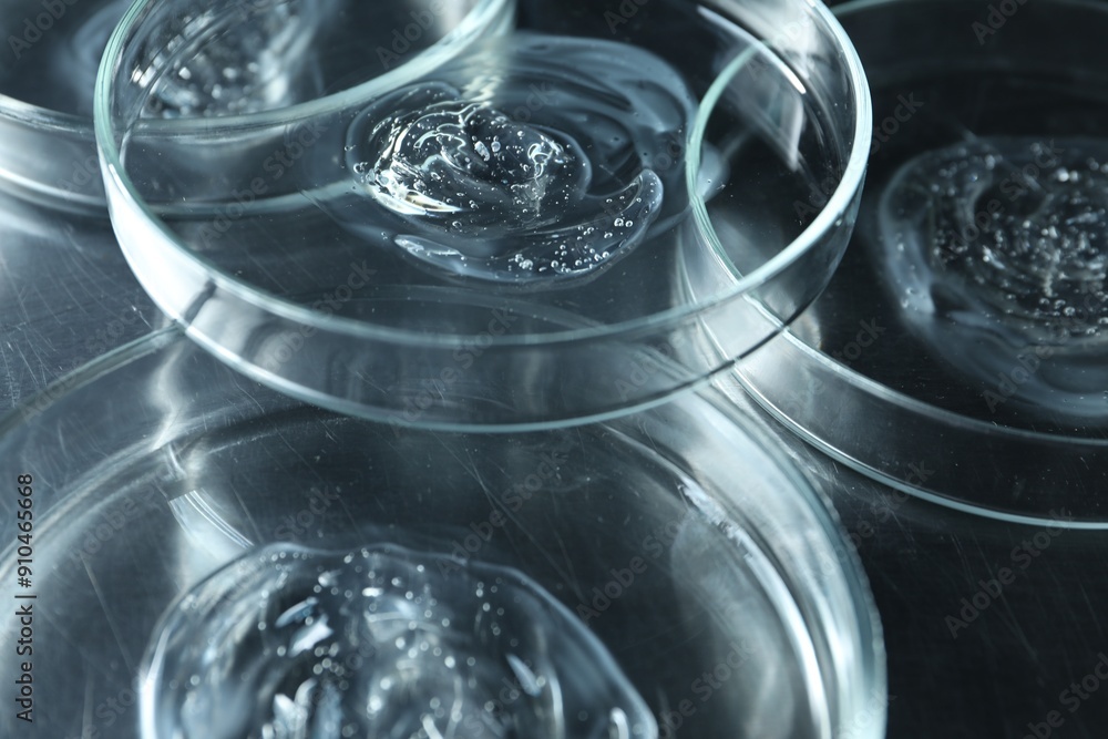 Petri dishes with samples on black table, closeup Petri dishes with samples on black table, closeup
