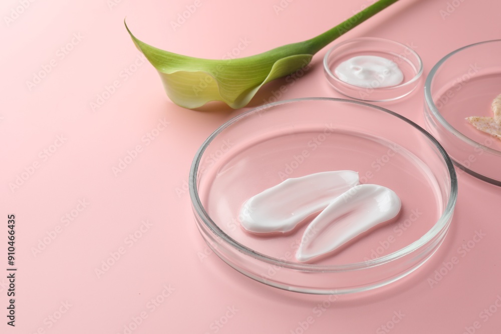 Petri dishes with cosmetic products and calla lily flower on pink background, closeup. Space for text Petri dishes with cosmetic products and calla lily flower on pink background, closeup. Space for text