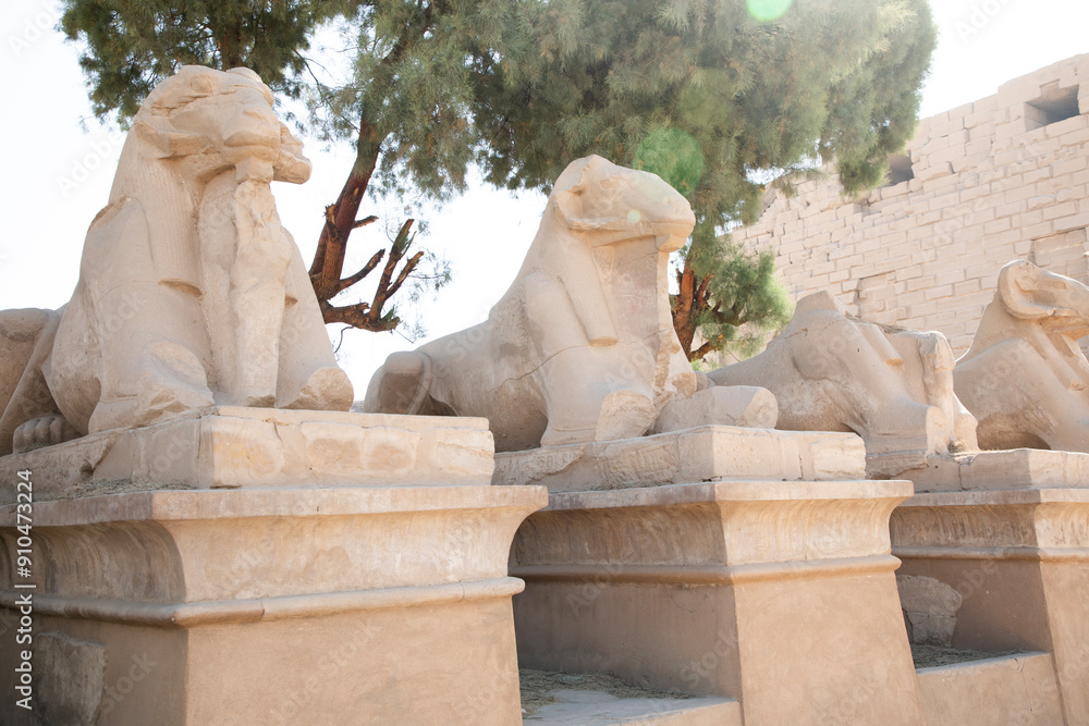 Beautiful view of ram sculptures in ancient Karnak Temple in Luxor, Egypt