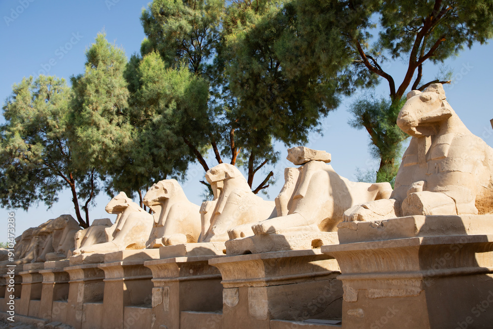 Beautiful view of ram sculptures in ancient Karnak Temple in Luxor, Egypt