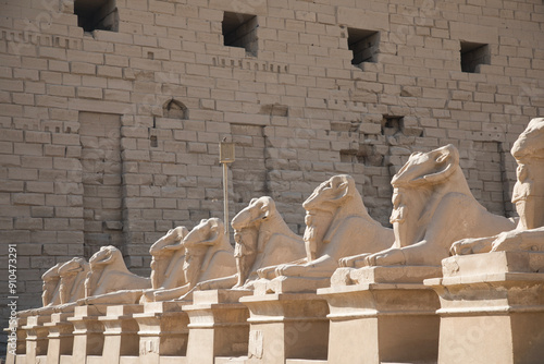 Obraz na płótnie Beautiful view of ram sculptures in ancient Karnak Temple in Luxor, Egypt w salonie