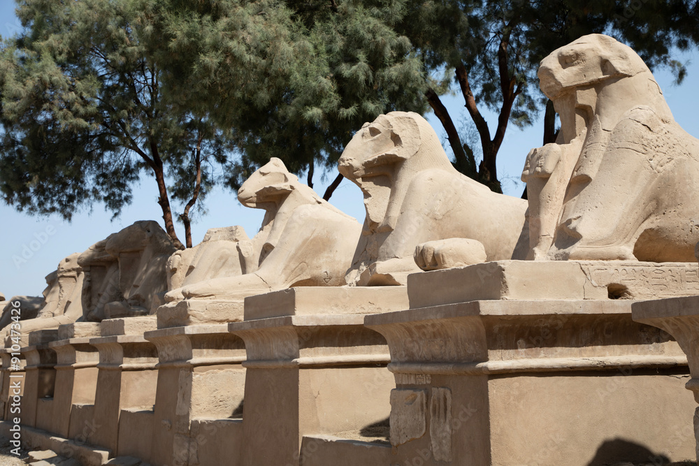 Beautiful view of ram sculptures in ancient Karnak Temple in Luxor, Egypt