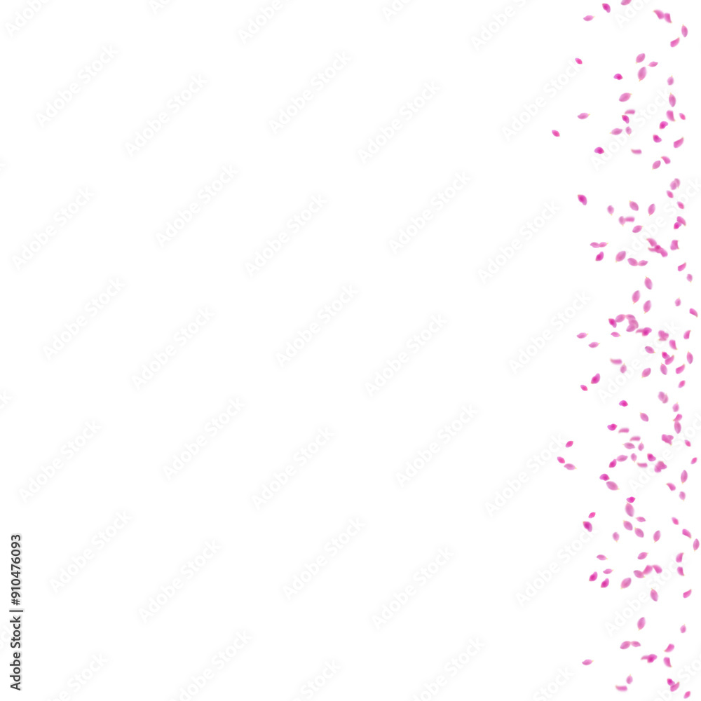 pink petals border isolated on white background pink petals border isolated on white background