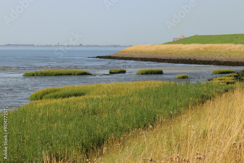 a dry falling mudflat with green grass and a seawall in the westerschelde sea