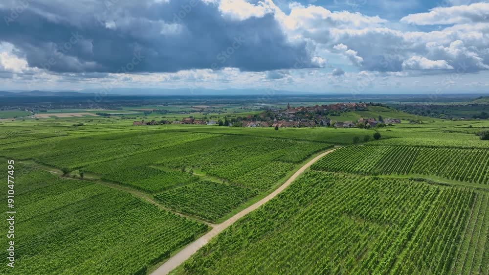 Grape Plantations In France, Aerial View Grape Plantations In France, Aerial View