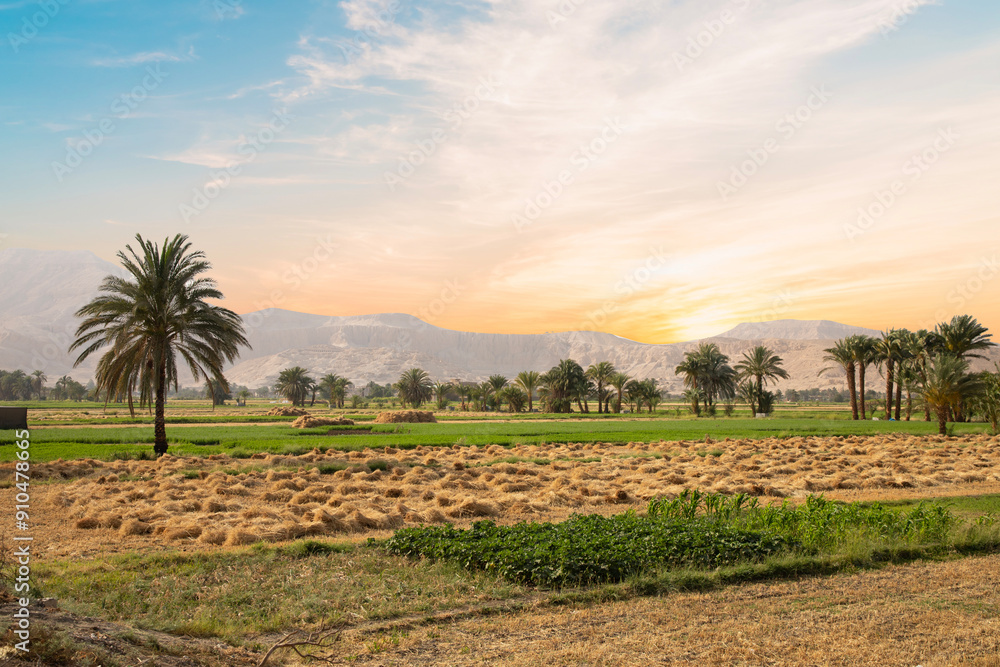 Beautiful view of village landscape in Luxor, Egypt