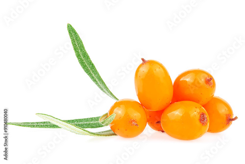 Sea Buckthorn berries with leaves isolated on a white background, macro. Fresh ripe berry.