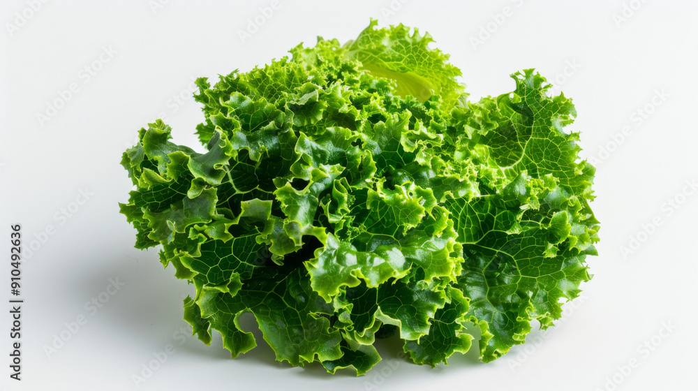 A whole lettuce isolated on white A whole lettuce isolated on white