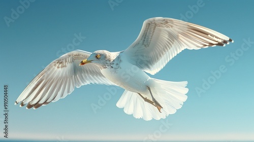 A white seagull is soaring in the sky with its wings outstretched