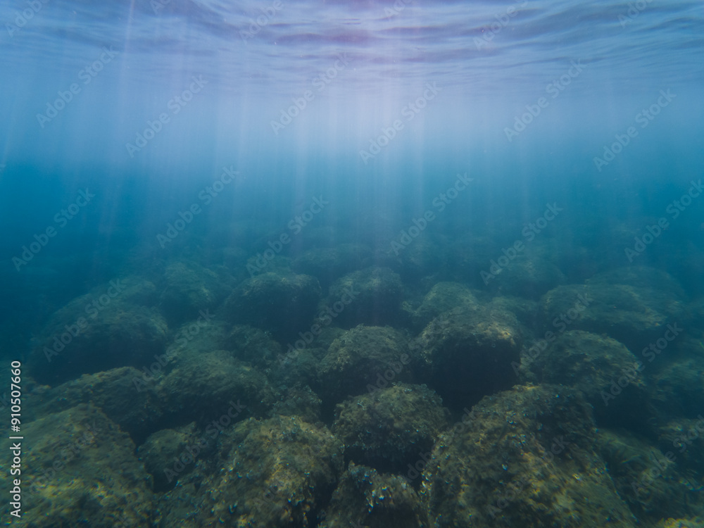 Fototapeta premium Underwater landscape in the Mediterranean Sea off the coast of Nice in southern France, seabed and rocks.