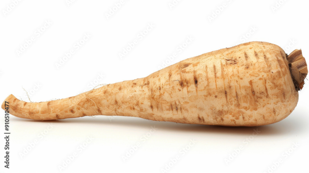 A whole rhubarb isolated on white A whole rhubarb isolated on white