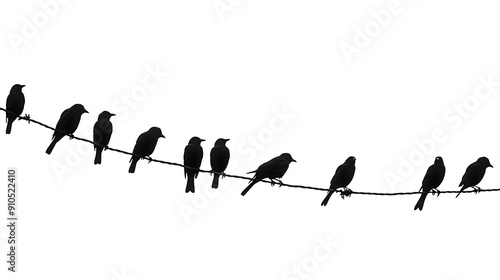 silhouette of birds on a wire against a white background
