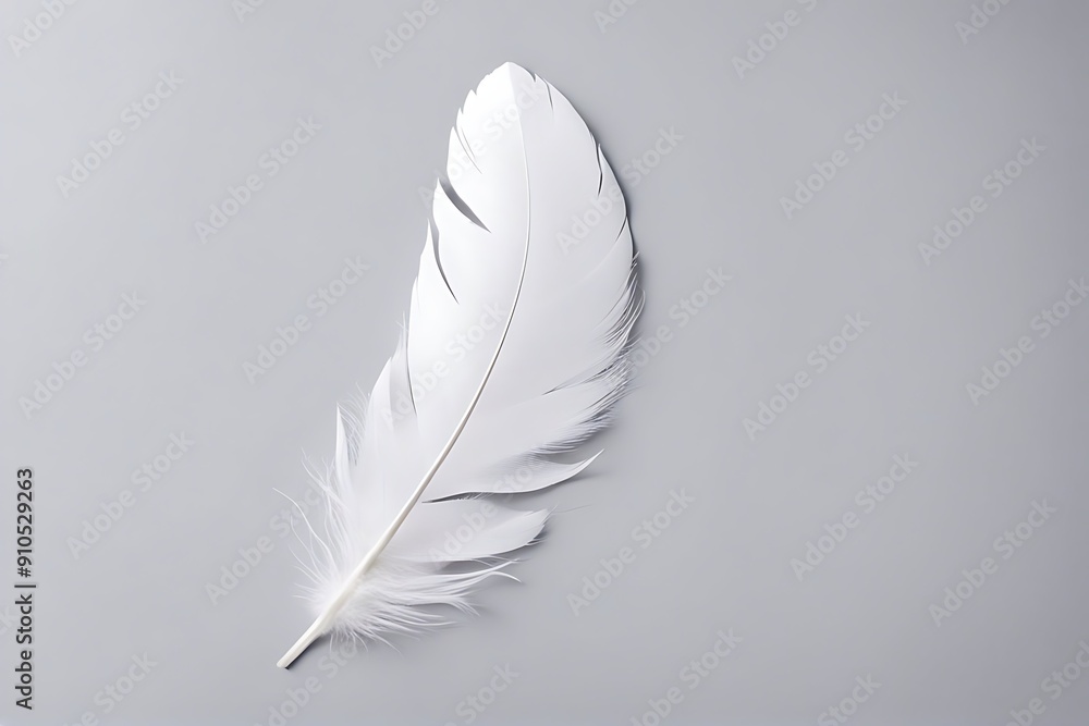 isolated collection white background feather down cygnet wing angel lightweight softness animal freedom fluffy macro gravity group colours set elegance health image single concept accessory bird isolated collection white background feather down cygnet wing angel lightweight softness animal freedom fluffy macro gravity group colours set elegance health image single concept accessory bird