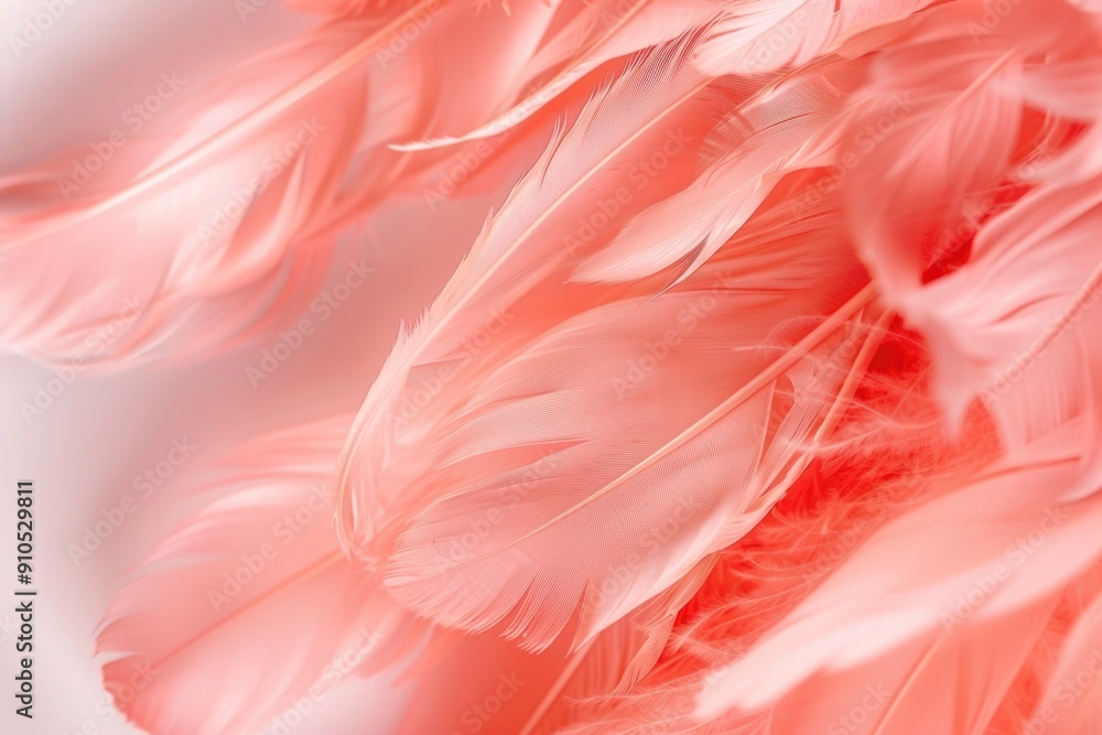 A detailed shot of a bunch of pink feathers A detailed shot of a bunch of pink feathers