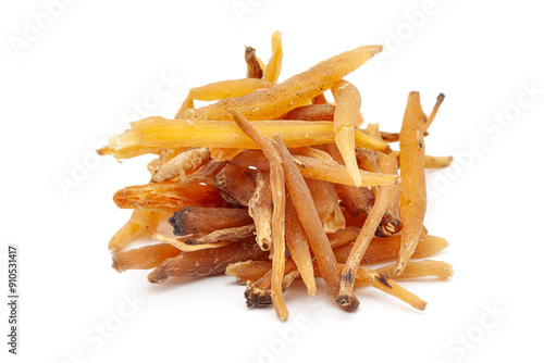 Obraz na plátne Close-up of Dry Organic Shatavari (Asparagus racemosus) roots, isolated on a white background