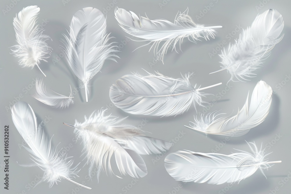 A collection of white feathers on a gray background A collection of white feathers on a gray background