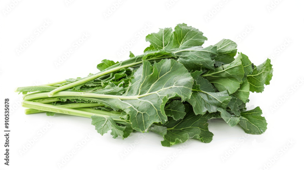 A whole turnip leaf isolated on a white background A whole turnip leaf isolated on a white background