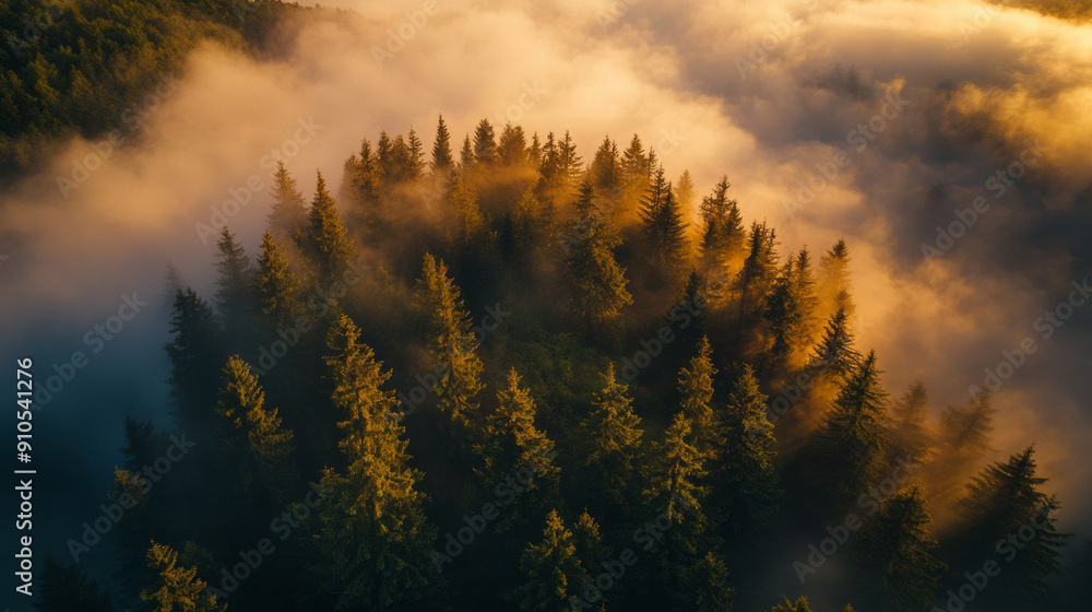 A beautiful forest scene with tall trees, mist, and golden sunlight filtering through, creating a magical and serene atmosphere. A beautiful forest scene with tall trees, mist, and golden sunlight filtering through, creating a magical and serene atmosphere.