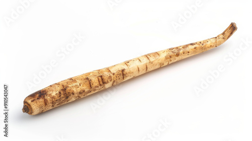 A whole salsify isolated on a white background