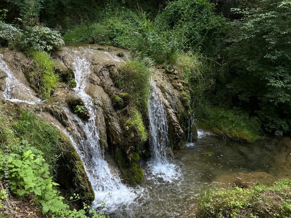 waterfall in the forest waterfall in the forest