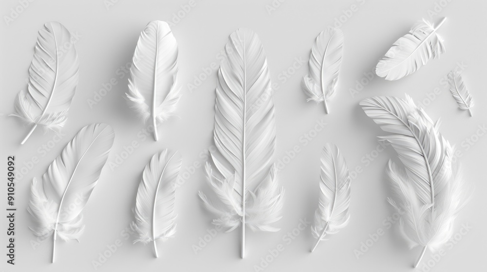 Group of white feathers on a clean white surface, great for backgrounds or texture Group of white feathers on a clean white surface, great for backgrounds or texture