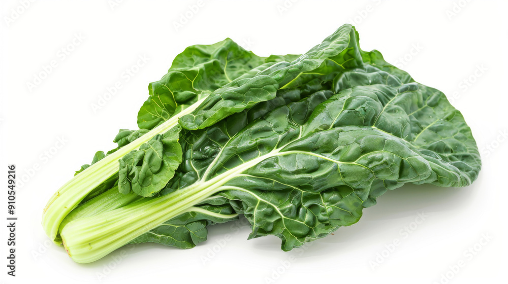 A whole swiss chard isolated on a white background A whole swiss chard isolated on a white background