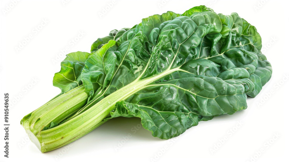 A whole swiss chard isolated on a white background A whole swiss chard isolated on a white background