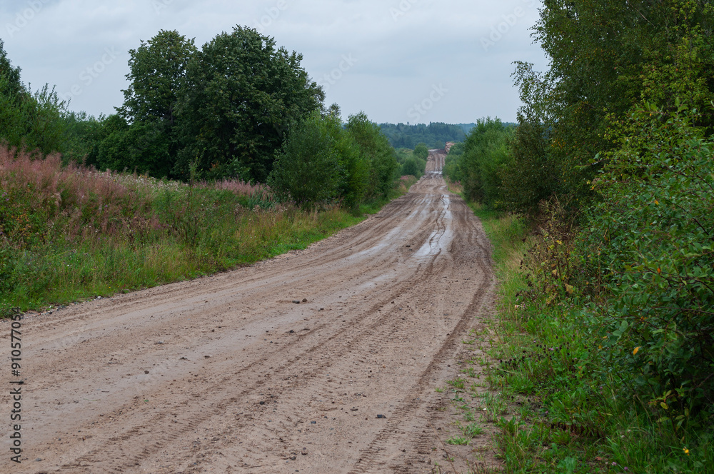 Dirt road through the forest after rain, summer day Dirt road through the forest after rain, summer day