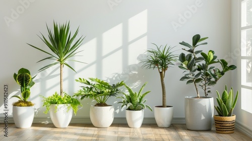 Variety of Green Tropical Succulent House Plants and Trees in White Modern Design Pots, Brightening a Plain White Wall Room with Sunlight Streaming from the Window