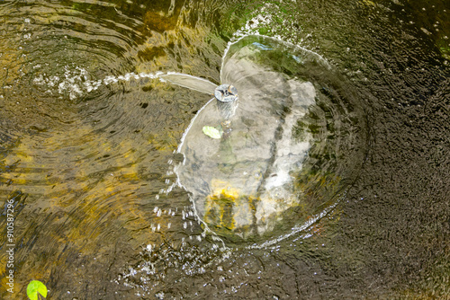 Beautiful fountain in a pond