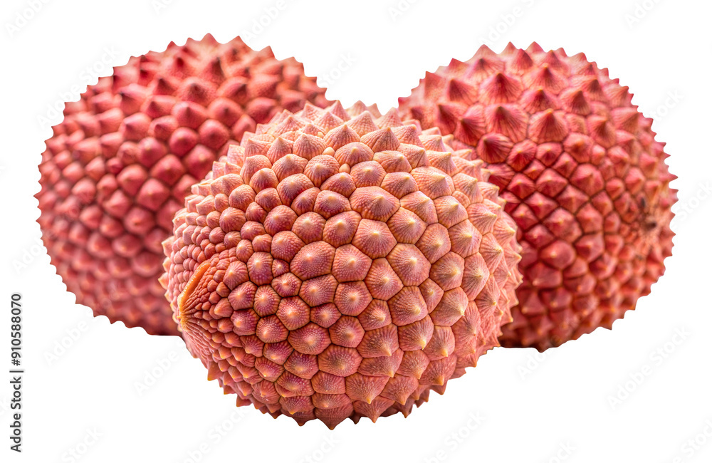 Freshly harvested lychee fruit, cut out - stock png. Freshly harvested lychee fruit, cut out - stock png.