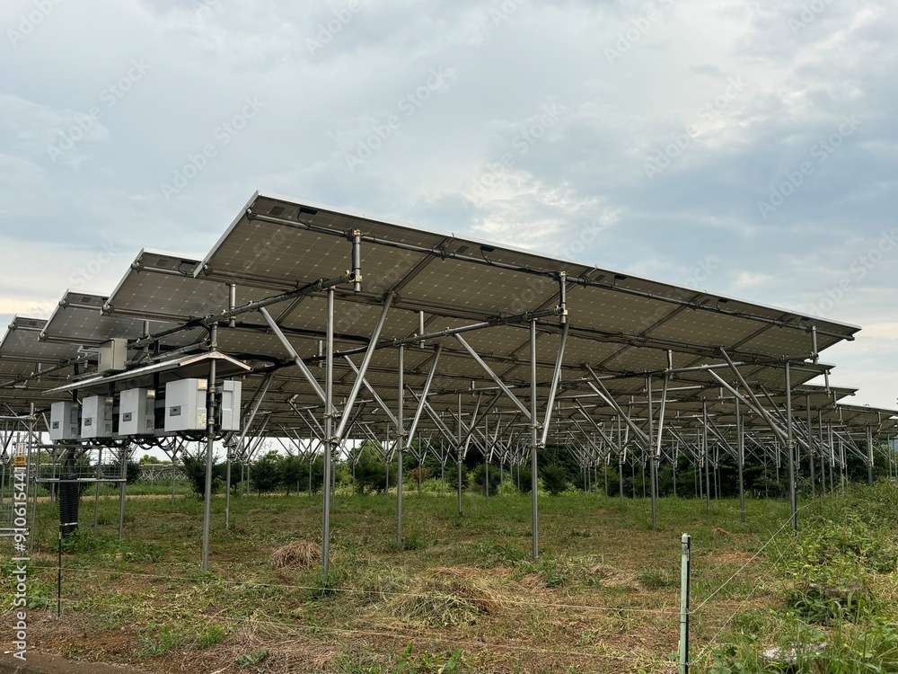 Obraz premium 農地に建てられた太陽光パネル 少し高めの足組で下にはスペースがある
